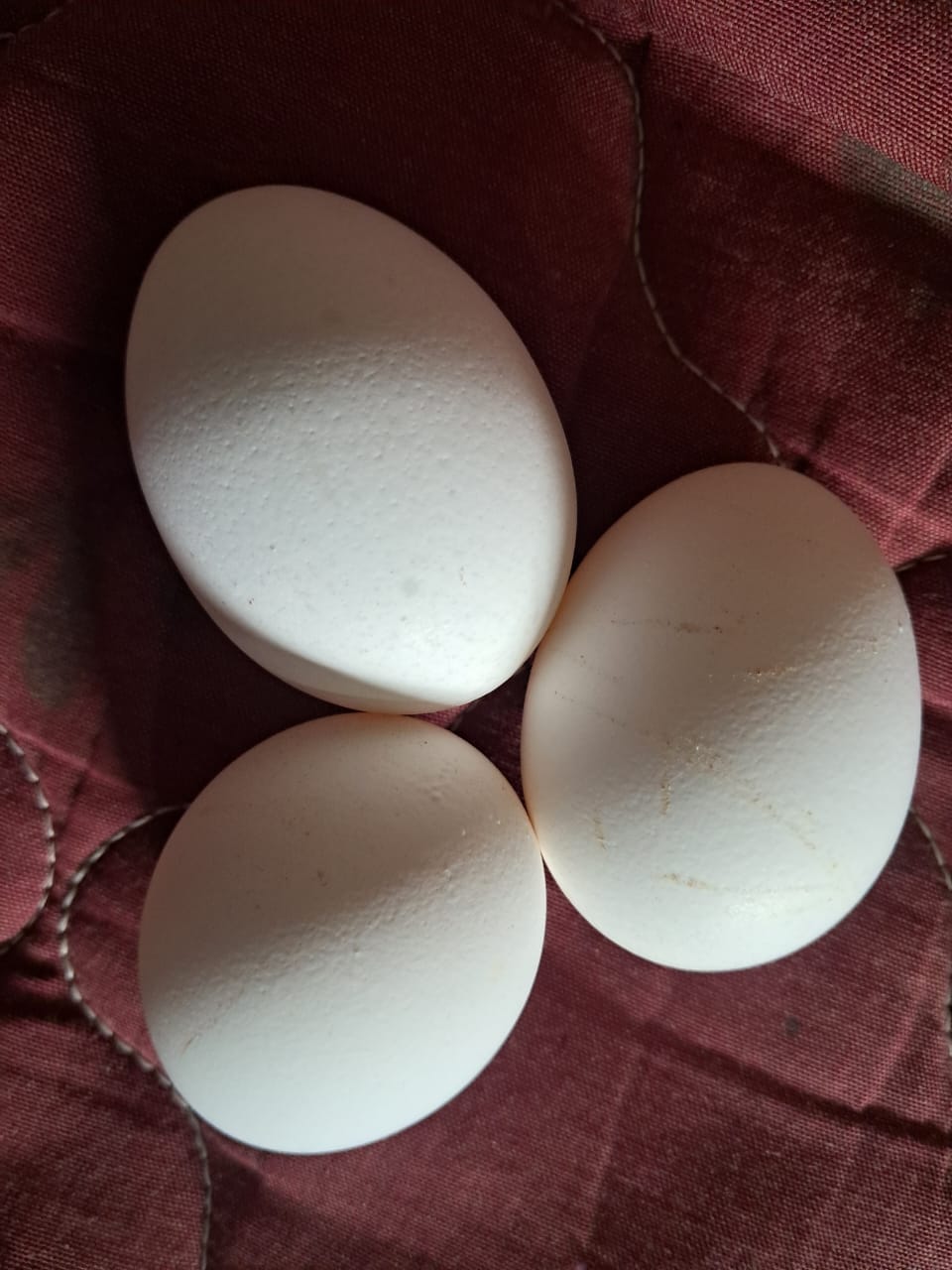 Thumbnail for egg 52 to 55g average approx. 1 tray - 30 eggs