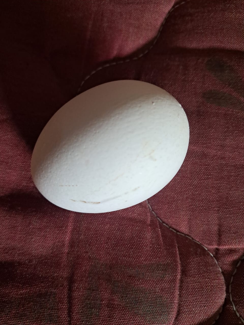 Thumbnail for egg 54 to 57g average approx. 1 tray - 30 eggs