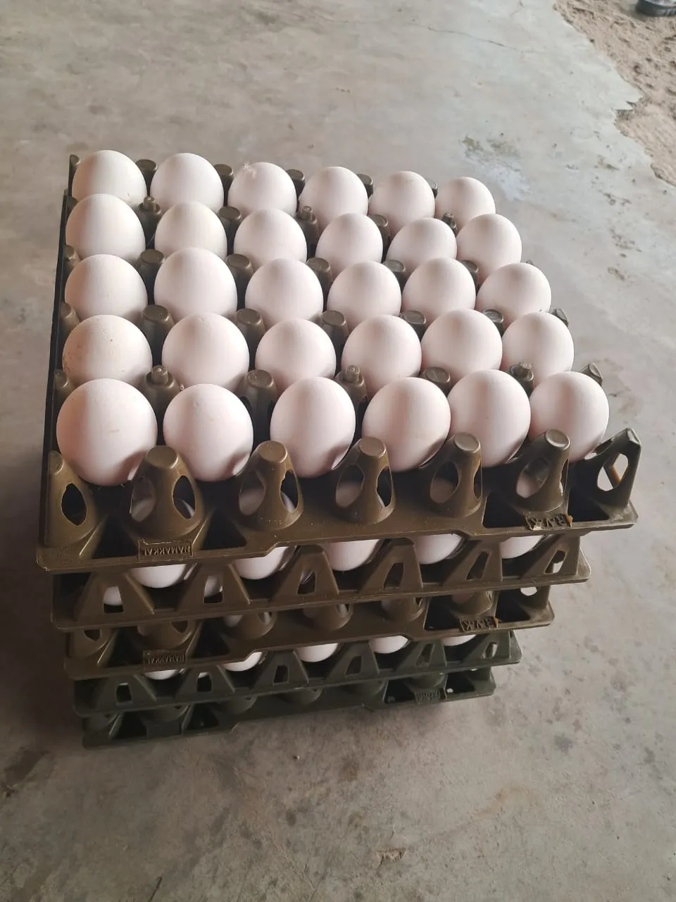 Thumbnail for egg 54 to 57g average approx. 1 tray - 30 eggs