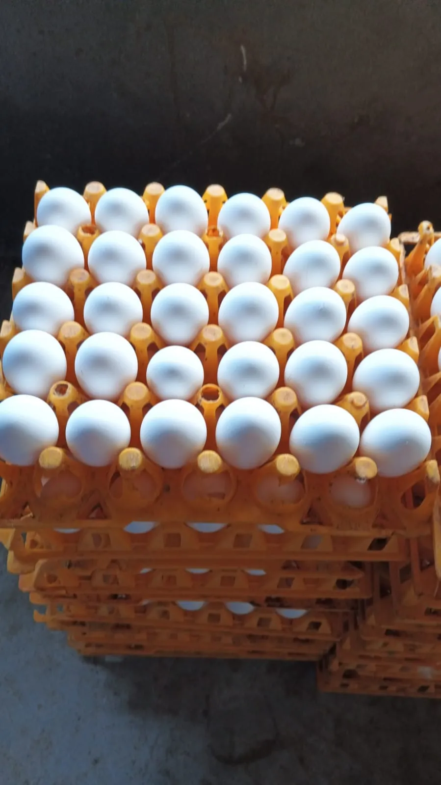 Thumbnail for egg 54 to 57g average approx. 1 tray - 30 eggs