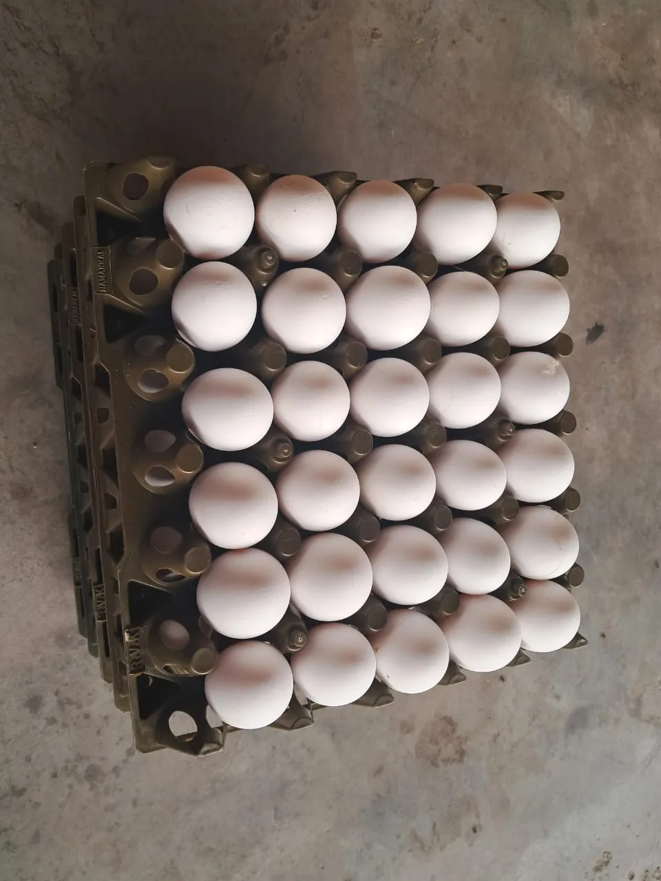 Thumbnail for egg 54 to 57g average approx. 1 tray - 30 eggs