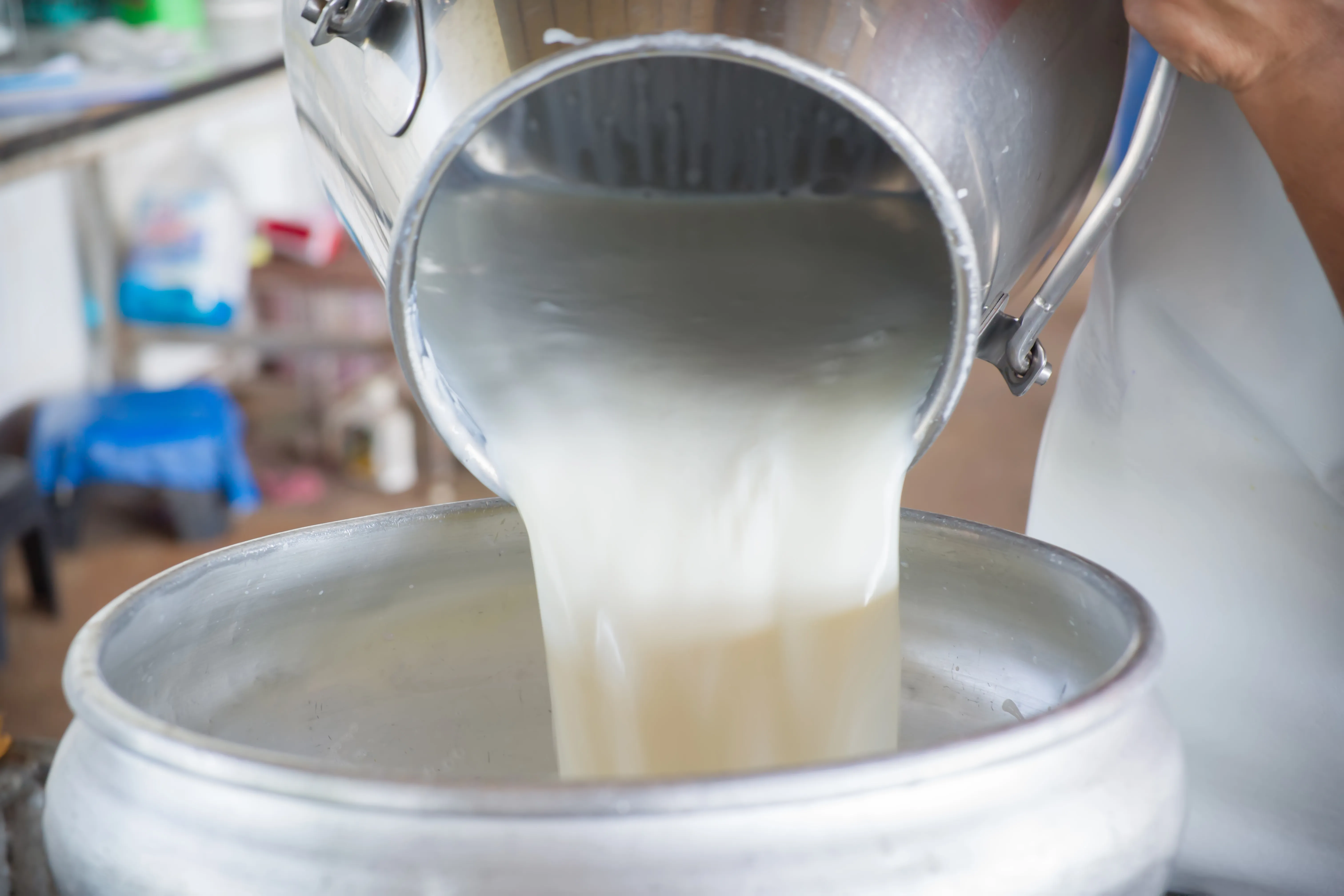 Raw Milk 150ml with Cream