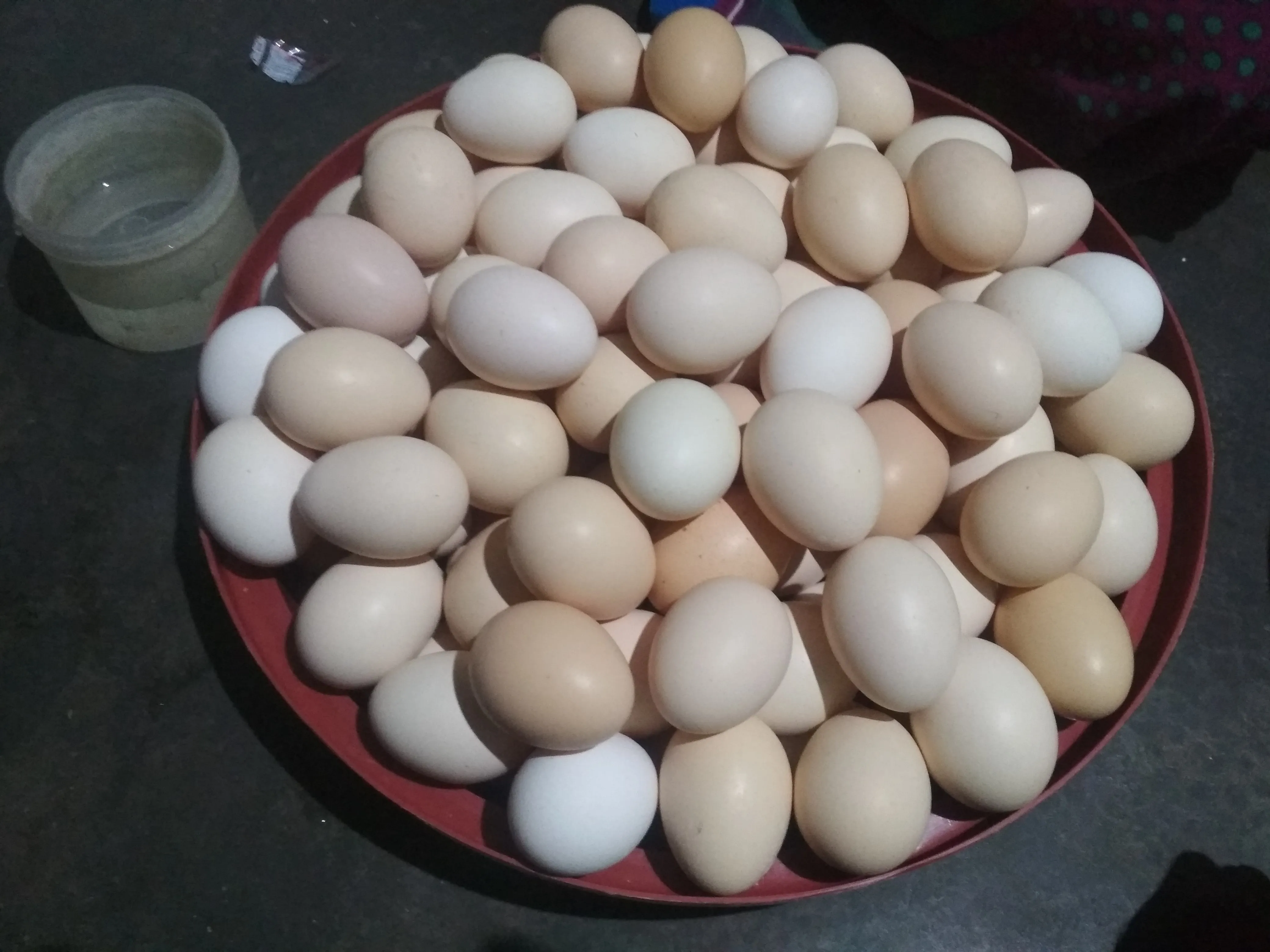 Naati Kozhi Muttai (Country Chicken Eggs) - 12 per pack, நாட்டுக்கோழி முட்டை - 12 முட்டைகள்